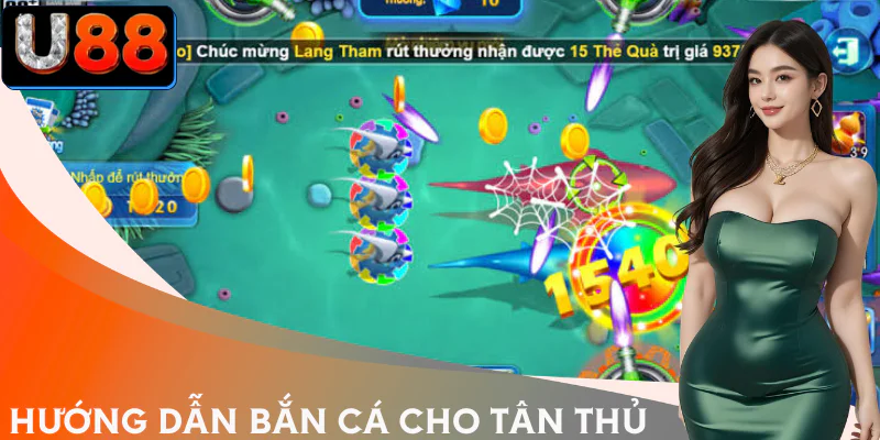 ban-ca-jili-huong-dan