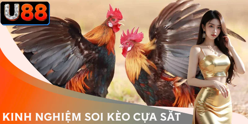 da-ga-cua-sat-soi-keo