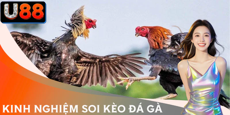 da-ga-thomo-soi-keo