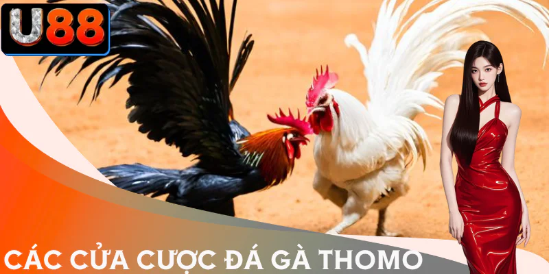 da-ga-thomo-the-thuc-cua-cuoc