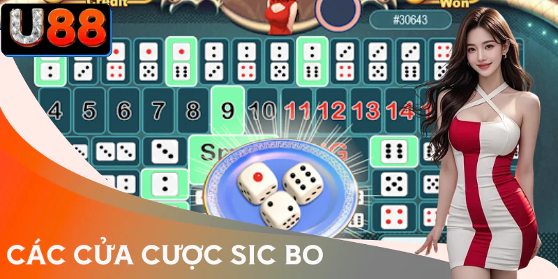 sic-bo-cua-cuoc-ty-le-thuong